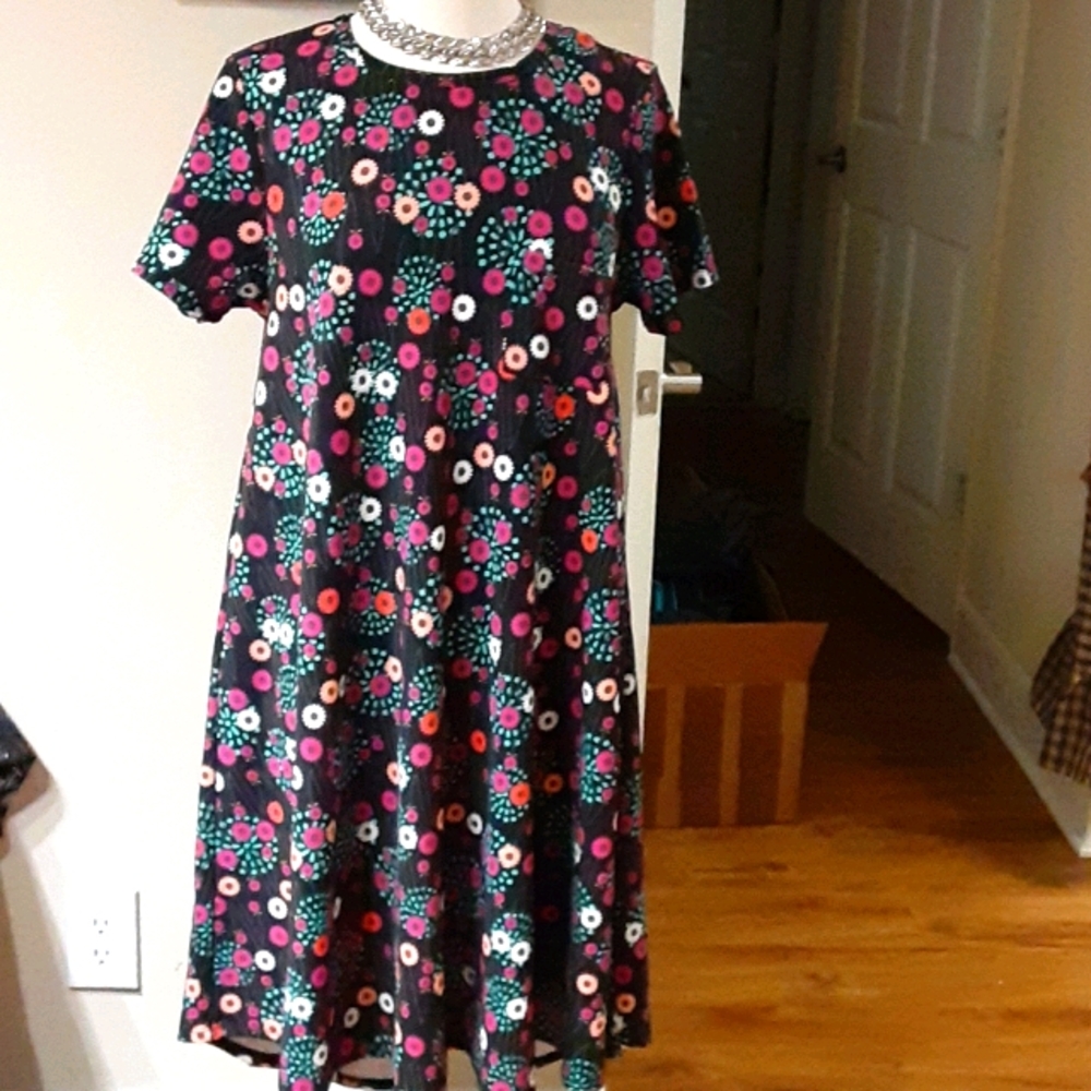 Carly dress size medium